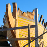 beaver construction