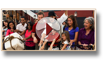 Boston Tourist Attractions Video