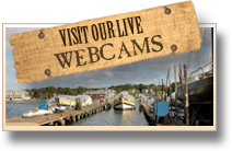 boston webcams