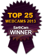 photo of webcam winner callout