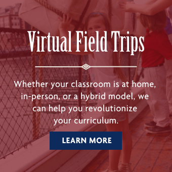 Girl pushing tea over the fence, into the water