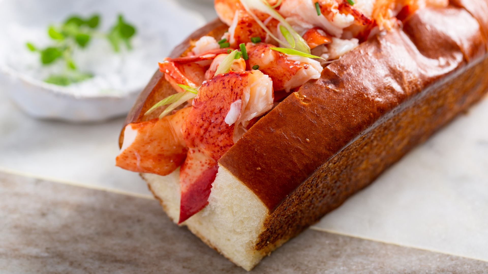 Up close photo of a warm lobster roll
